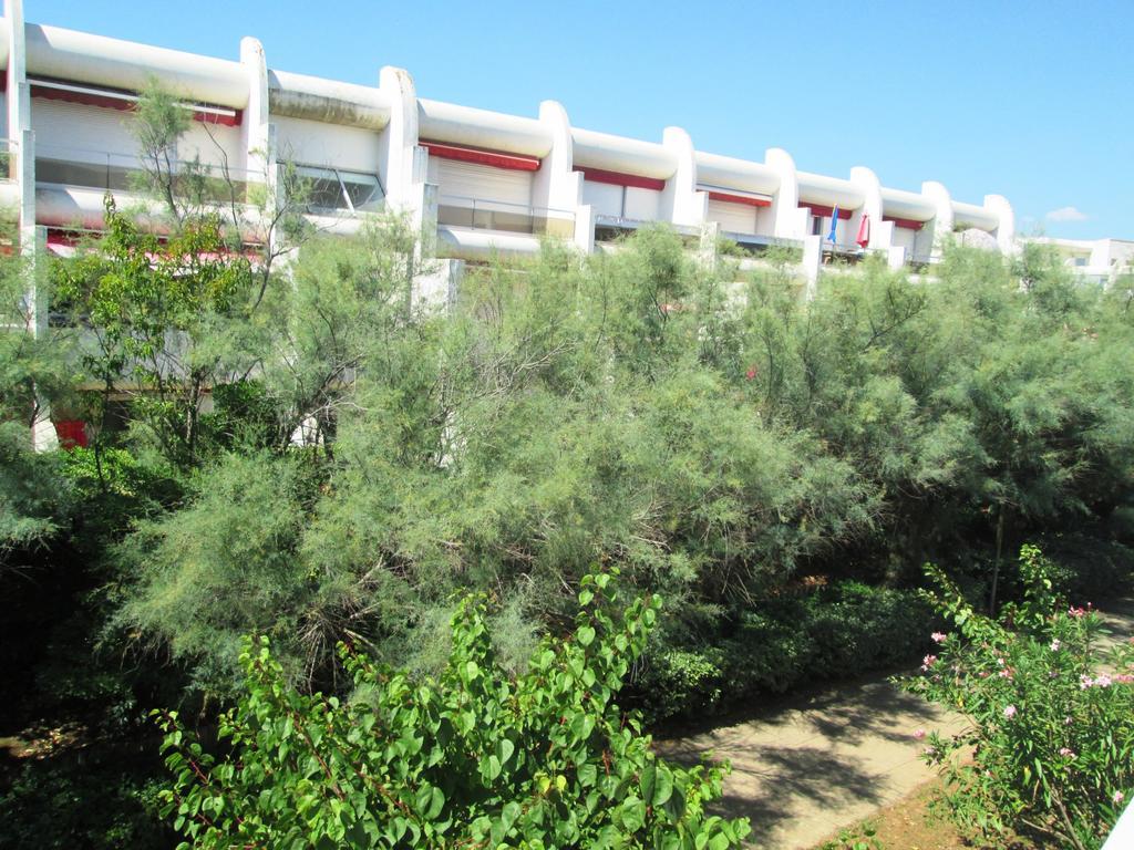 Vittoria Immobilier 12 -Reglement Sur Place - Cheques Vacances Acceptes La Grande Motte Exterior foto